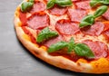 Pepperoni pizza garnished with basil leaves Royalty Free Stock Photo